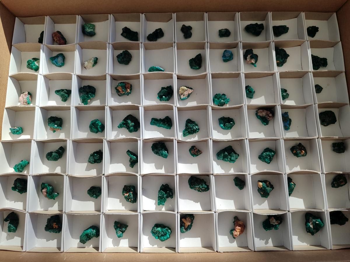 Natural Small Dioptase Cluster Specimens on Dolomite x 70 From Tantara Mine, Congo