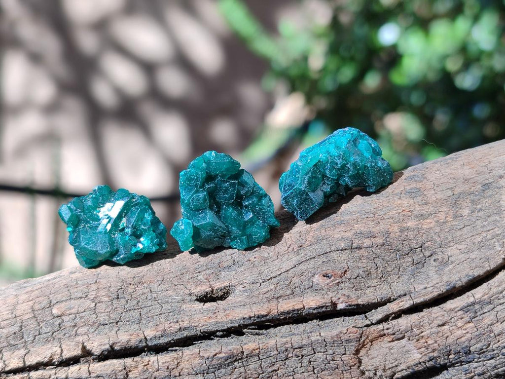 Natural Small Dioptase Cluster Specimens on Dolomite x 70 From Tantara Mine, Congo