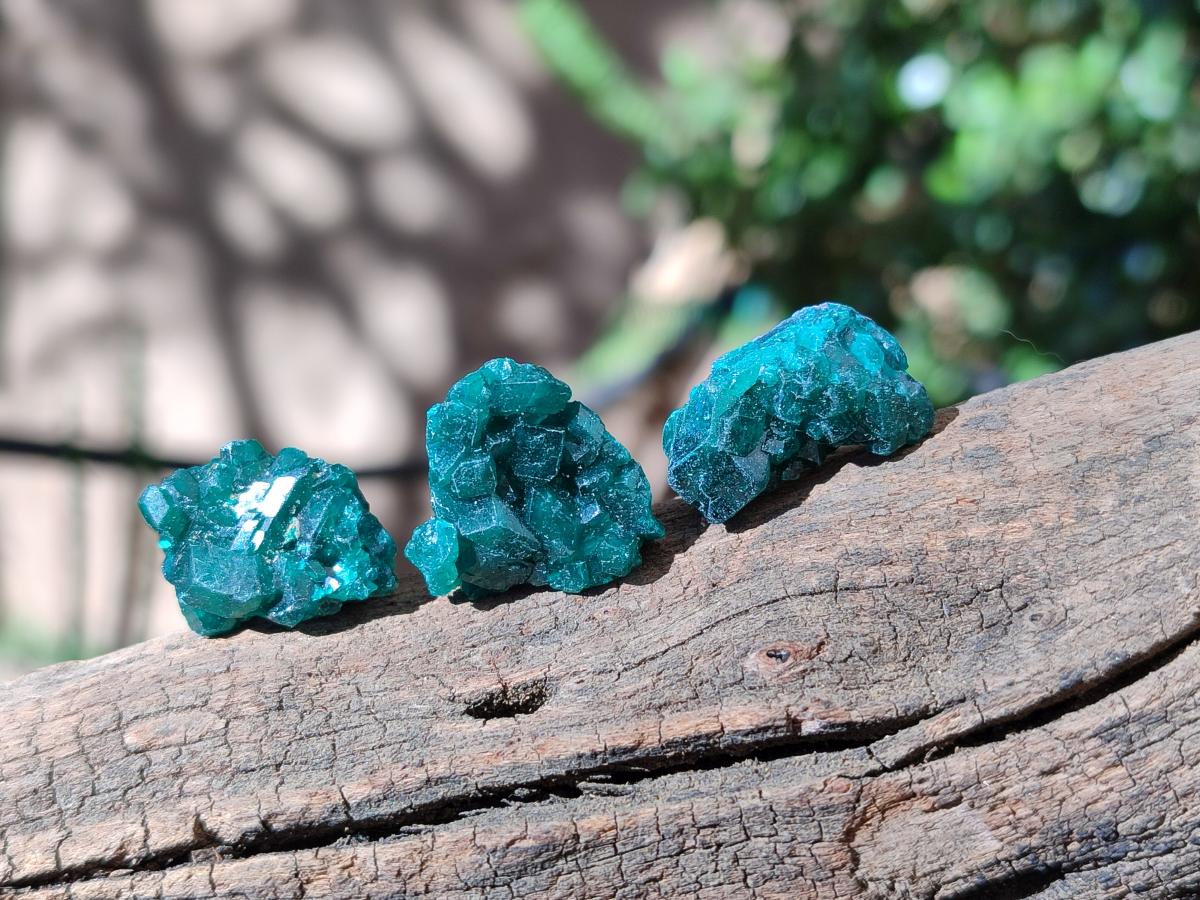 Natural Small Dioptase Cluster Specimens on Dolomite x 70 From Tantara Mine, Congo