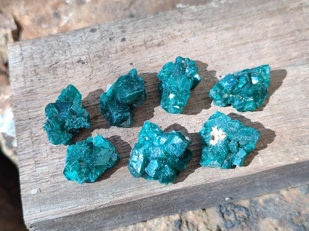 Natural Small Dioptase Cluster Specimens on Dolomite x 70 From Tantara Mine, Congo