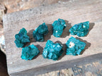 Natural Small Dioptase Cluster Specimens on Dolomite x 70 From Tantara Mine, Congo