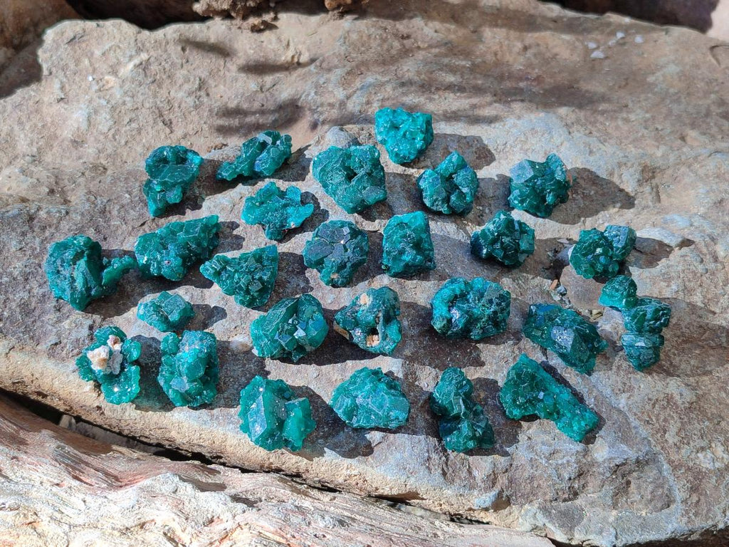 Natural Small Dioptase Cluster Specimens on Dolomite x 70 From Tantara Mine, Congo
