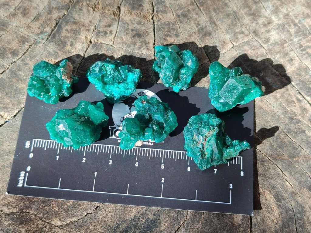 Natural Small Dioptase Cluster Specimens on Dolomite x 70 From Tantara Mine, Congo