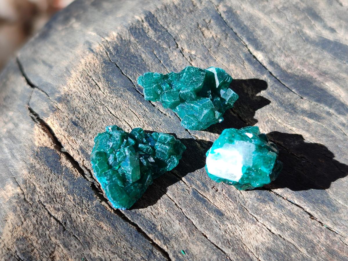 Natural Small Dioptase Cluster Specimens on Dolomite x 70 From Tantara Mine, Congo