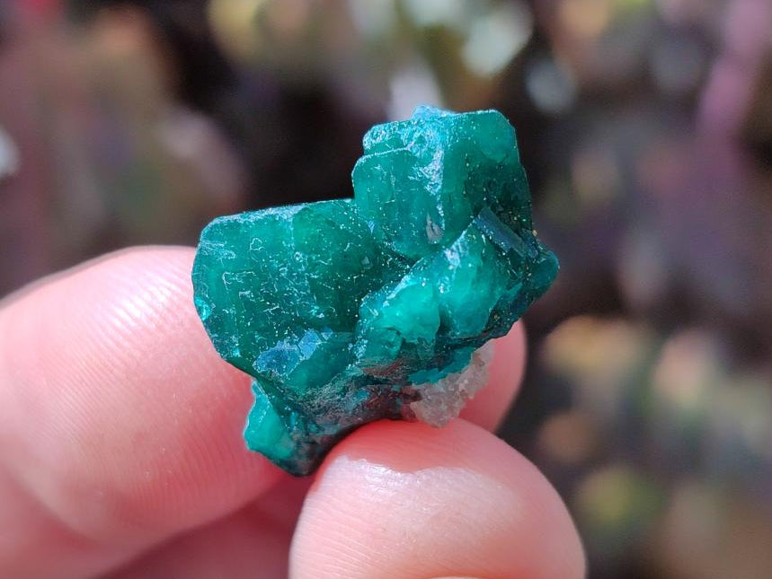 Natural Small Dioptase Cluster Specimens on Dolomite x 70 From Tantara Mine, Congo