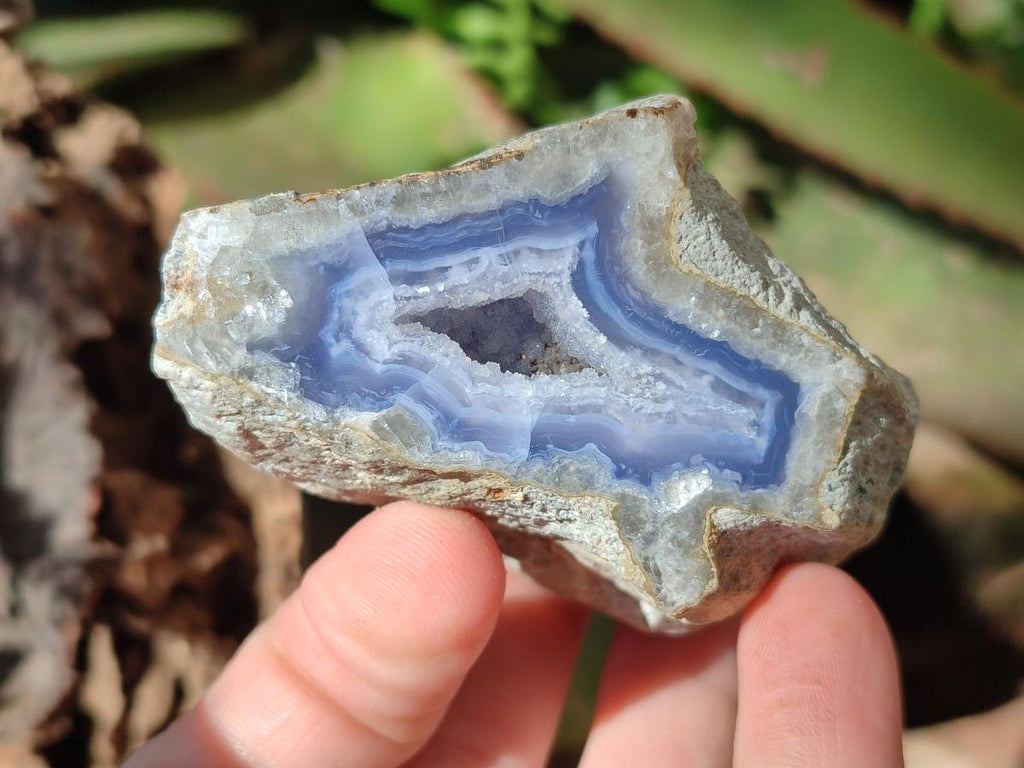 Polished One Side Blue Lace Agate Geodes x 12 From Nsanje, Malawi