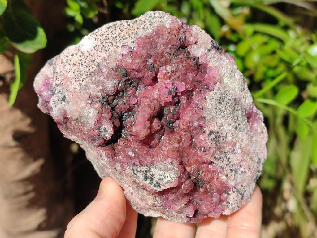 Natural Large Cabinet Size Spherocobaltite Specimens x 2 From Mashamba West Mine, Congo
