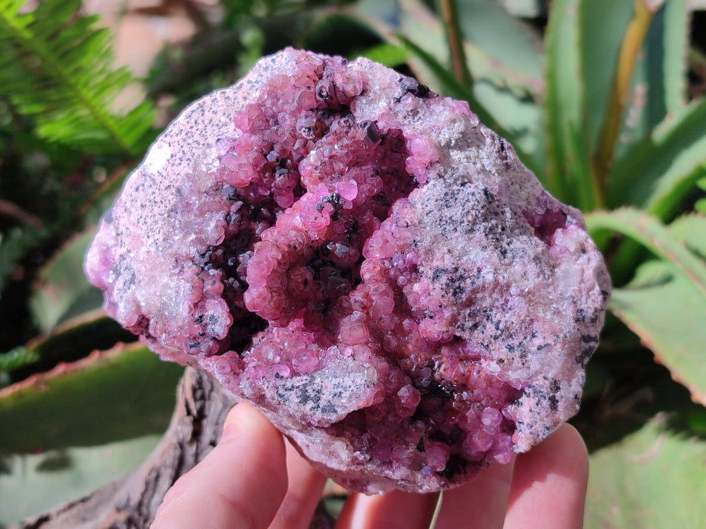 Natural Large Cabinet Size Spherocobaltite Specimens x 2 From Mashamba West Mine, Congo