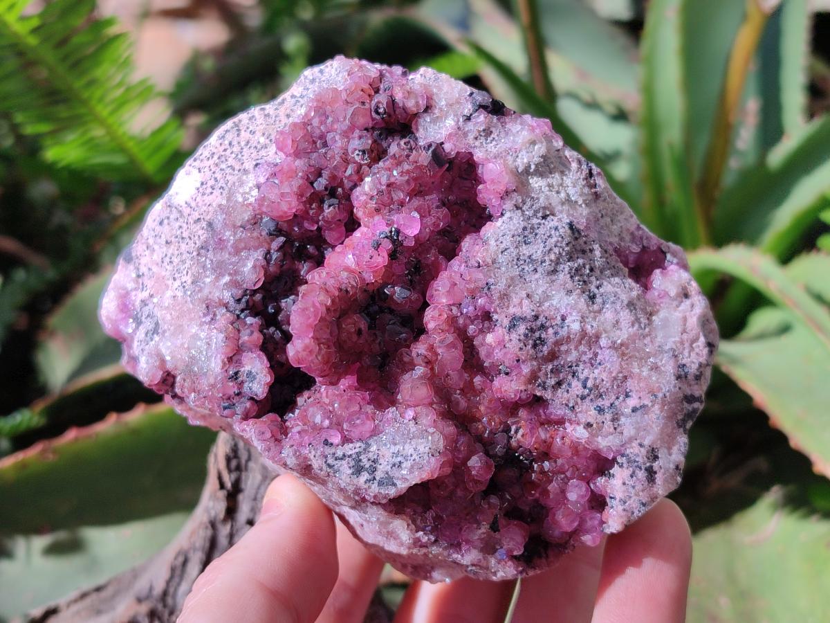 Natural Large Cabinet Size Spherocobaltite Specimens x 2 From Mashamba West Mine, Congo