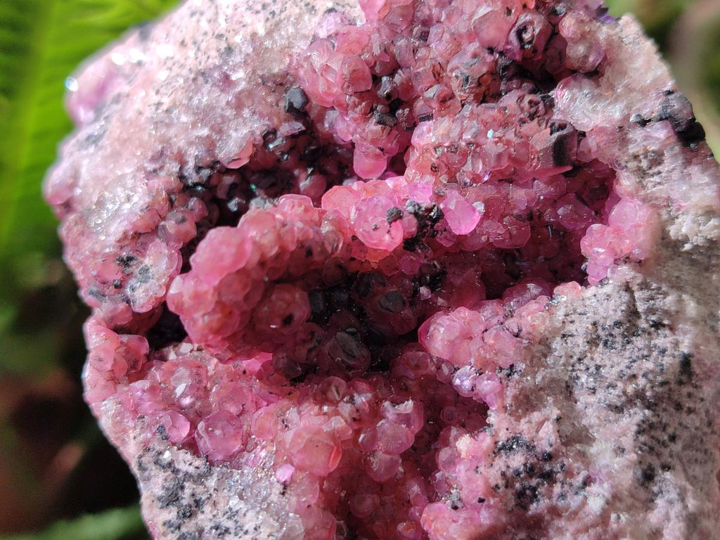 Natural Large Cabinet Size Spherocobaltite Specimens x 2 From Mashamba West Mine, Congo