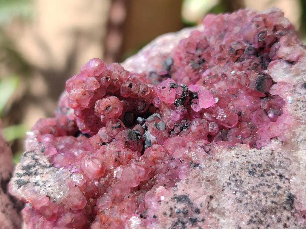 Natural Large Cabinet Size Spherocobaltite Specimens x 2 From Mashamba West Mine, Congo