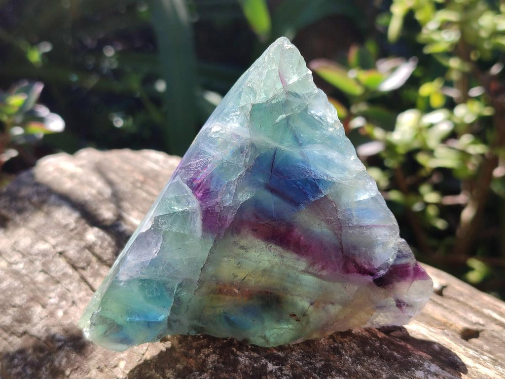 Polished One Side Watermelon Fluorite Slices x 6 From Uis, Namibia
