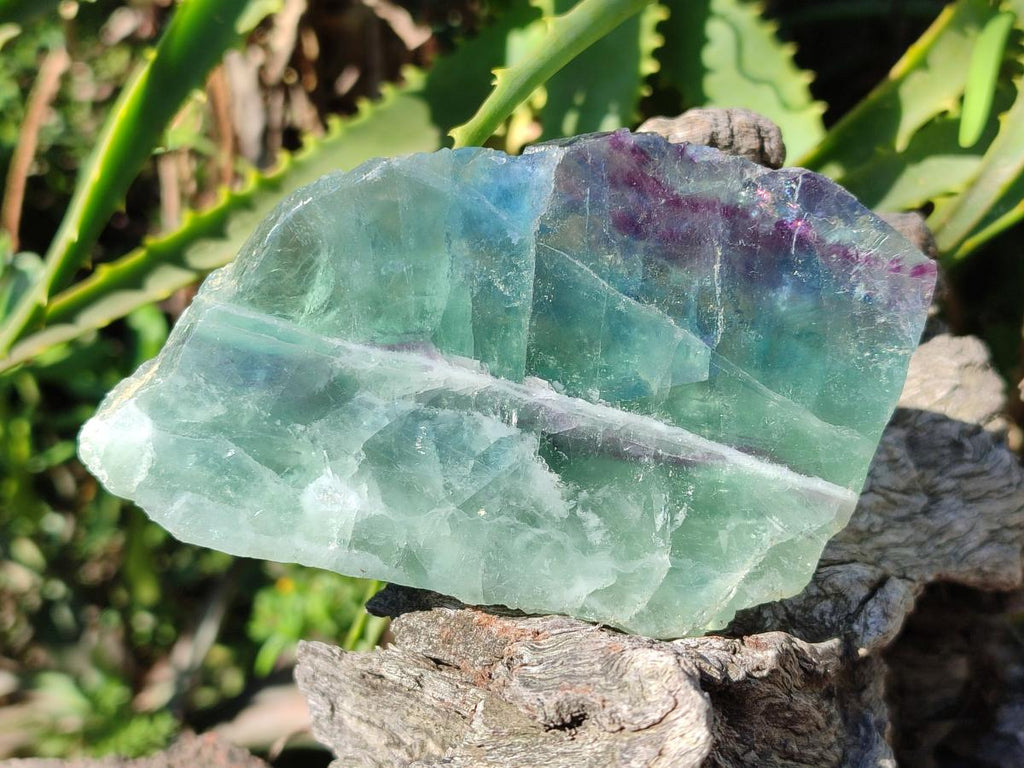 Polished One Side Watermelon Fluorite Slices x 6 From Uis, Namibia
