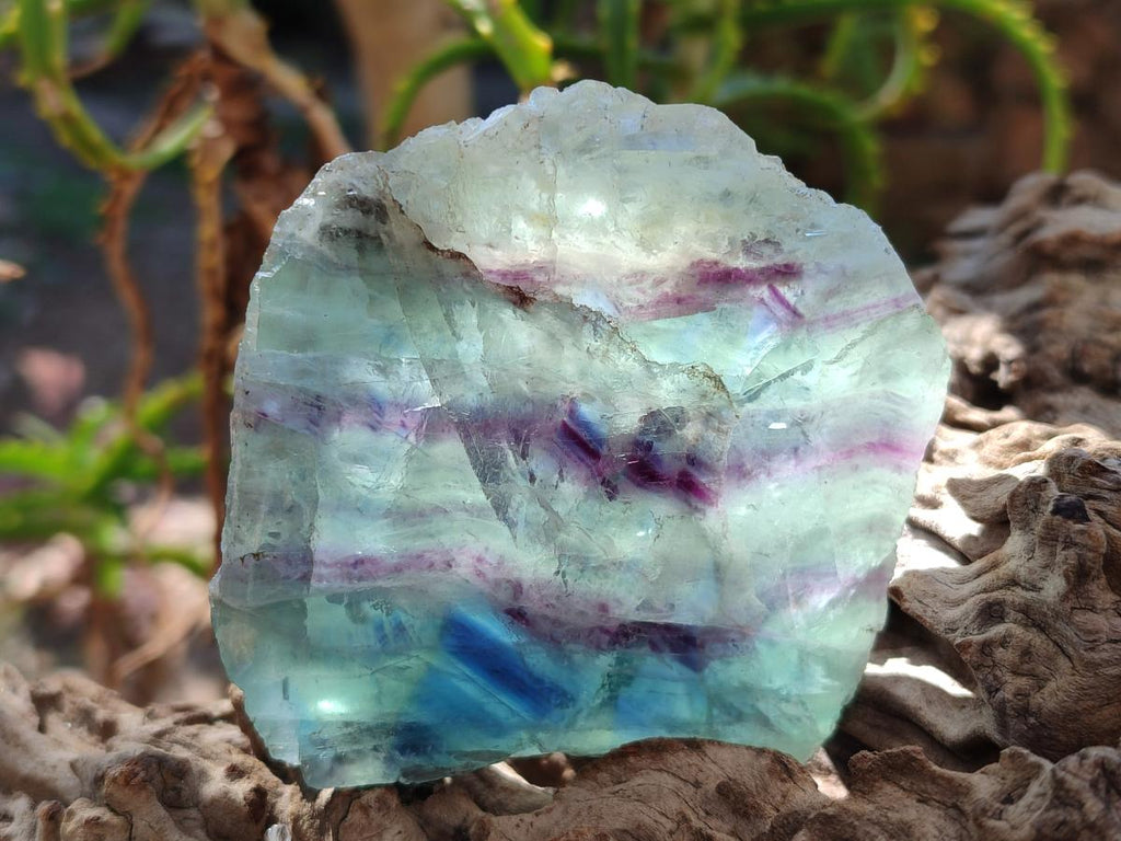 Polished One Side Watermelon Fluorite Slices x 6 From Uis, Namibia