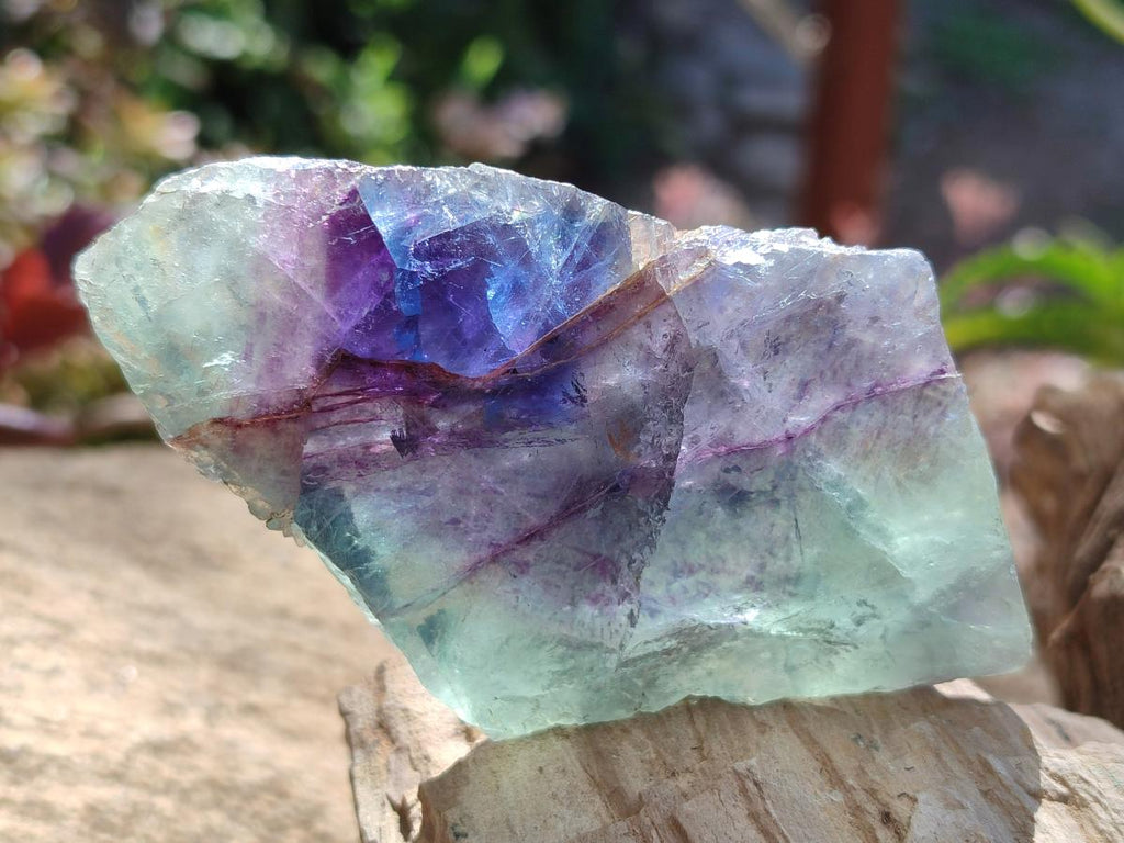 Polished One Side Watermelon Fluorite Slices x 6 From Uis, Namibia