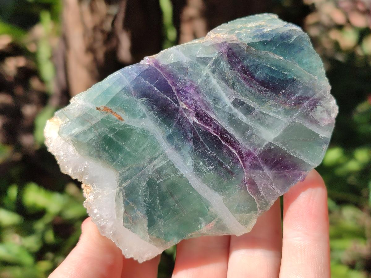 Polished One Side Watermelon Fluorite Slices x 6 From Uis, Namibia