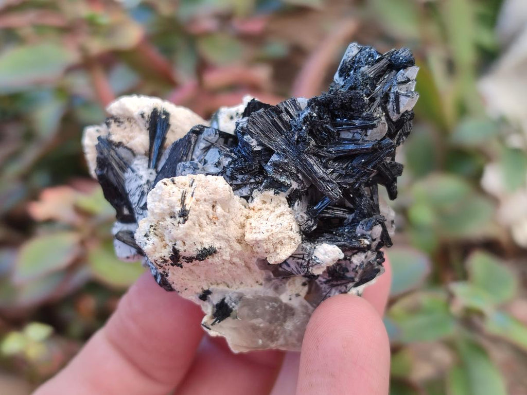 Natural Schorl Black Tourmaline Specimens with Associated Minerals x 18 From Erongo, Namibia