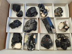 Natural Schorl Black Tourmaline Specimens with Associated Minerals x 18 From Erongo, Namibia