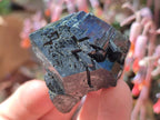 Natural Schorl Black Tourmaline Specimens with Associated Minerals x 18 From Erongo, Namibia