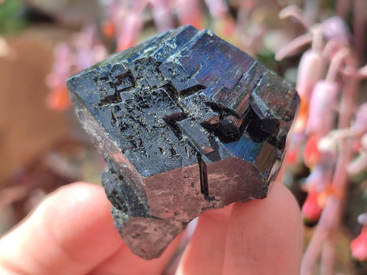 Natural Schorl Black Tourmaline Specimens with Associated Minerals x 18 From Erongo, Namibia