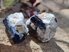 Natural Schorl Black Tourmaline Specimens with Associated Minerals x 18 From Erongo, Namibia