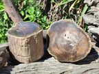 Polished One Side Dadoxylon Petrified Wood Tree Branches x 2 From Gokwe, Zimbabwe
