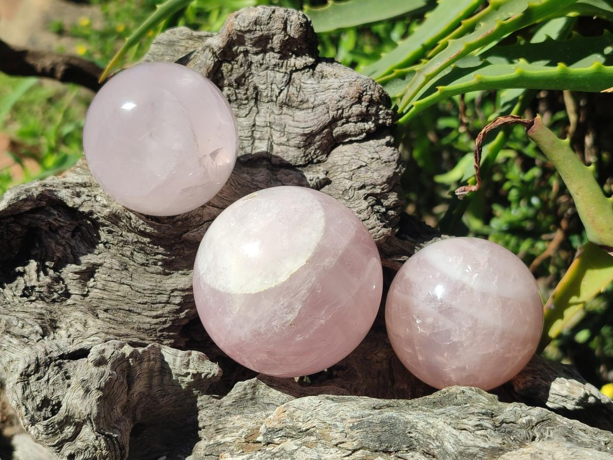 Polished Gemmy Rose Quartz Spheres x 6 From Madagascar
