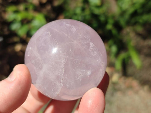 Polished Gemmy Rose Quartz Spheres x 6 From Madagascar