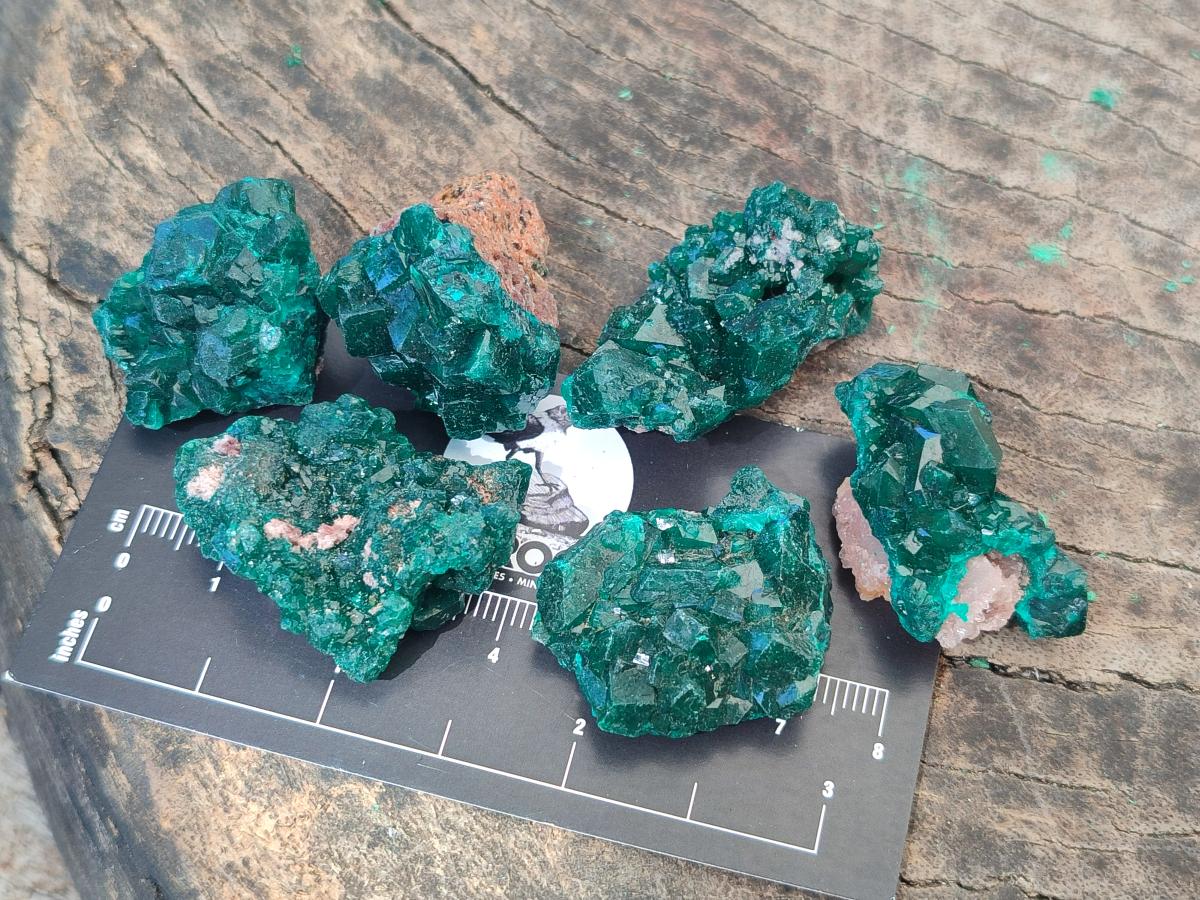 Natural Dioptase Specimens on Dolomite Matrix x 20 From Tantara Mine, Congo