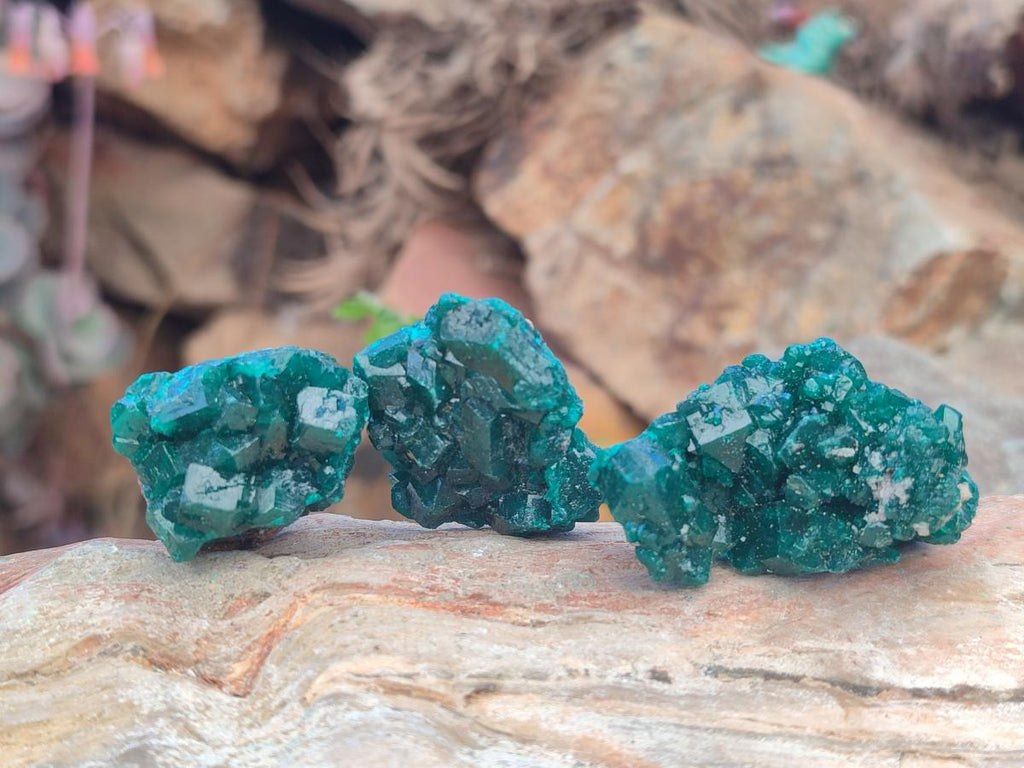 Natural Dioptase Specimens on Dolomite Matrix x 20 From Tantara Mine, Congo