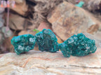 Natural Dioptase Specimens on Dolomite Matrix x 20 From Tantara Mine, Congo