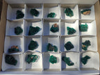 Natural Dioptase Specimens on Dolomite Matrix x 20 From Tantara Mine, Congo