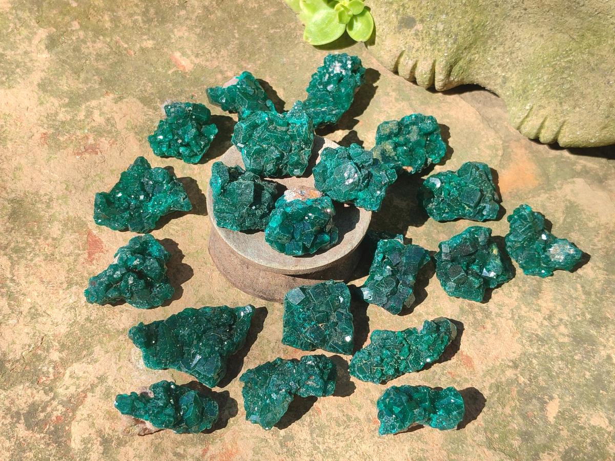 Natural Dioptase Specimens on Dolomite Matrix x 20 From Tantara Mine, Congo
