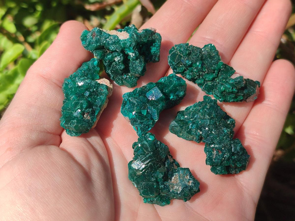 Natural Dioptase Specimens on Dolomite Matrix x 20 From Tantara Mine, Congo