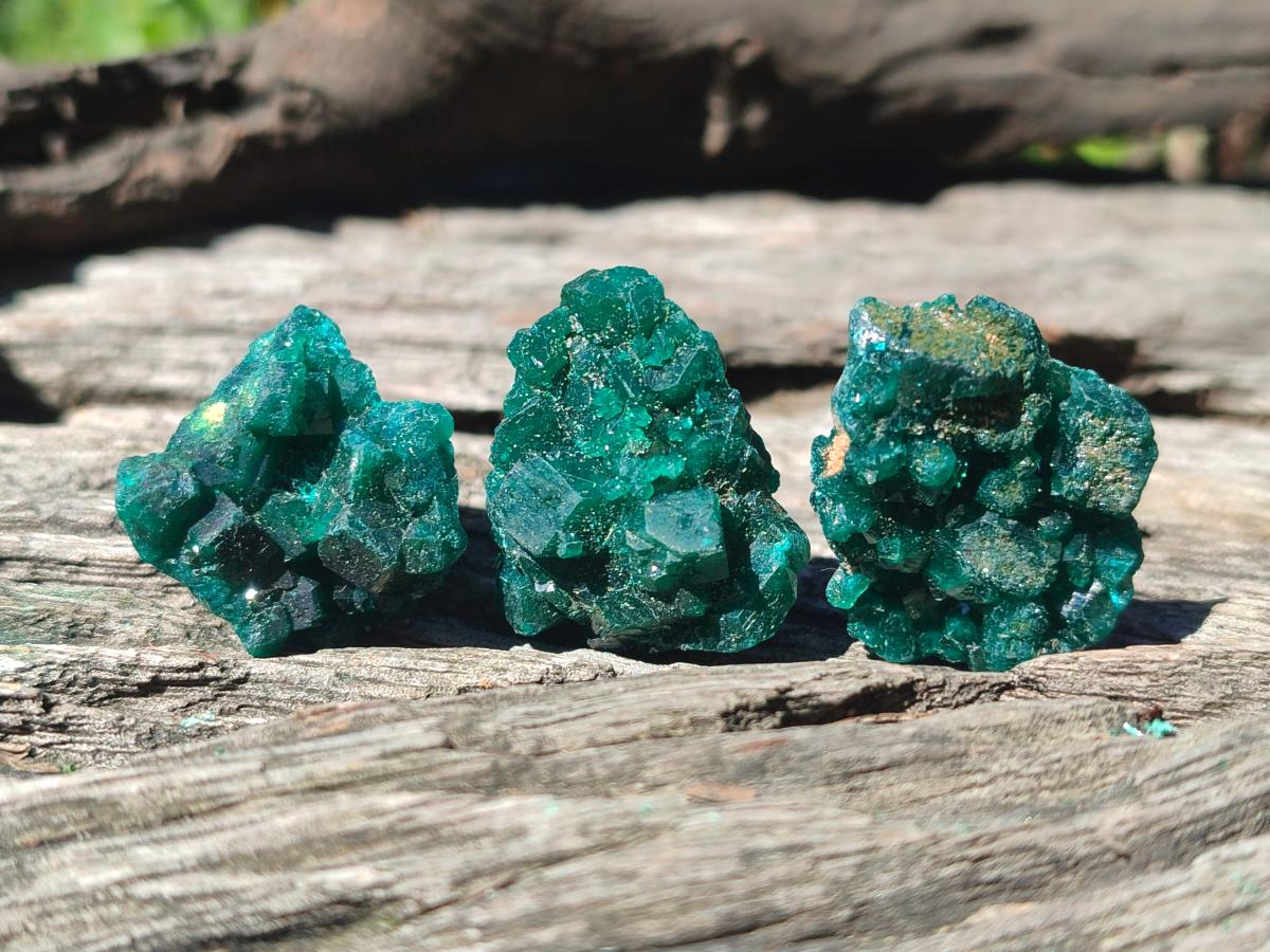 Natural Dioptase Specimens on Dolomite Matrix x 20 From Tantara Mine, Congo