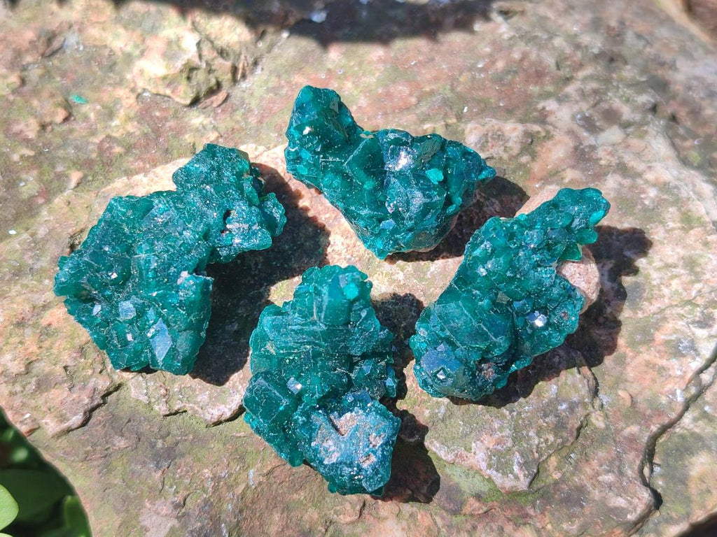Natural Dioptase Specimens on Dolomite Matrix x 20 From Tantara Mine, Congo