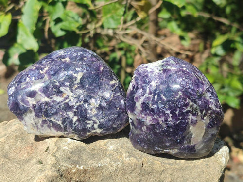 Polished Large One Side Lithium Silver Leaf Lepidolite x 6 From Zimbabwe