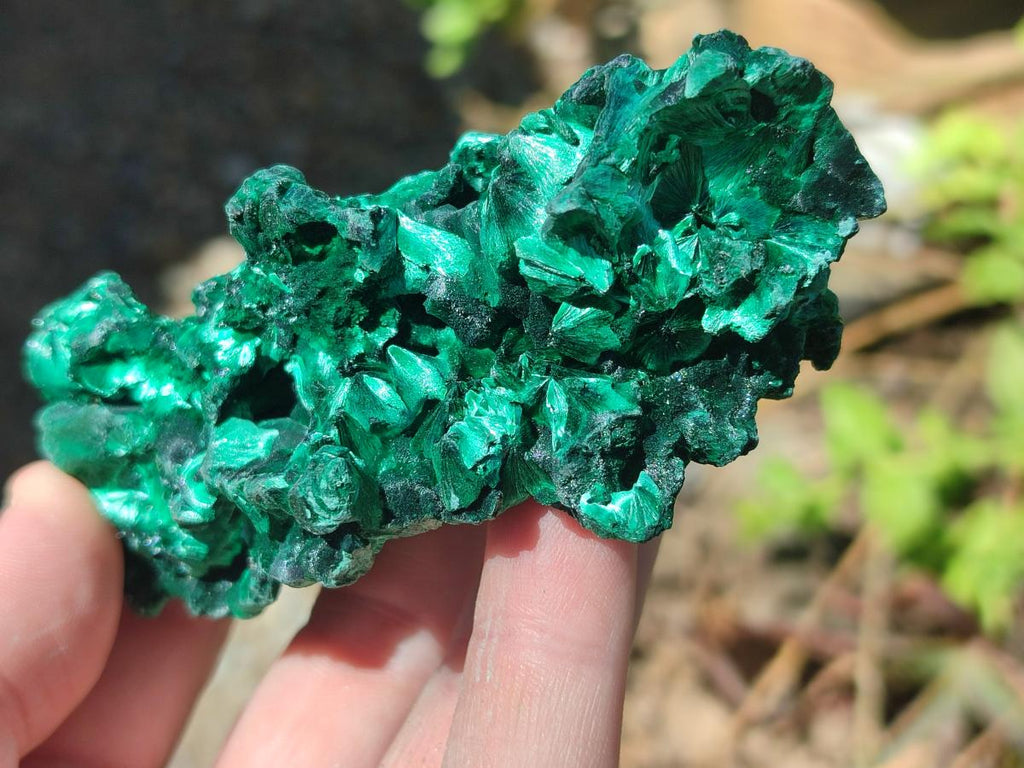 Natural Silky Malachite Specimens x 12 From Kasompe, Congo