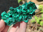 Natural Silky Malachite Specimens x 12 From Kasompe, Congo