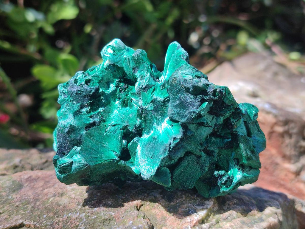 Natural Silky Malachite Specimens x 12 From Kasompe, Congo