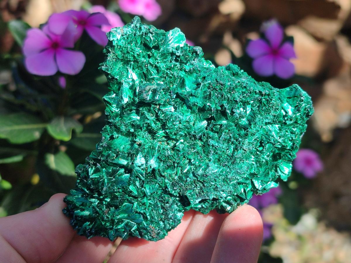Natural Silky Malachite Specimens x 12 From Kasompe, Congo