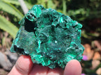 Natural Silky Malachite Specimens x 12 From Kasompe, Congo