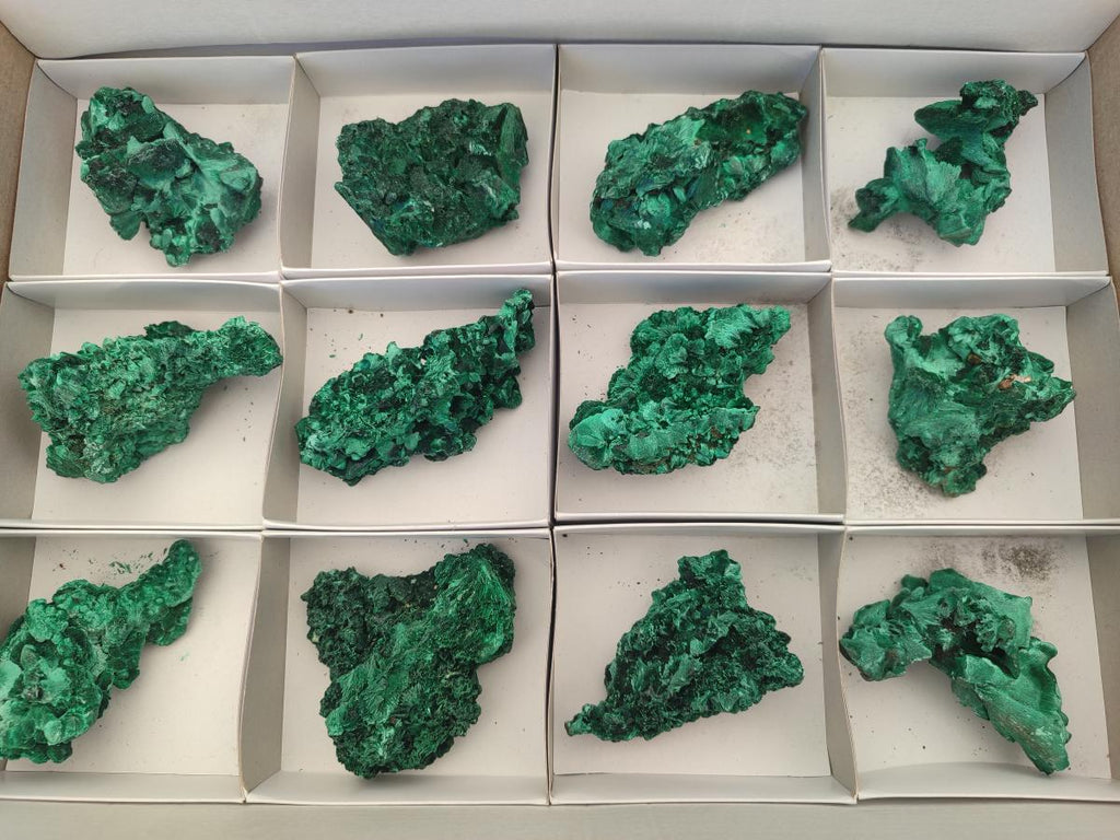 Natural Silky Malachite Specimens x 12 From Kasompe, Congo