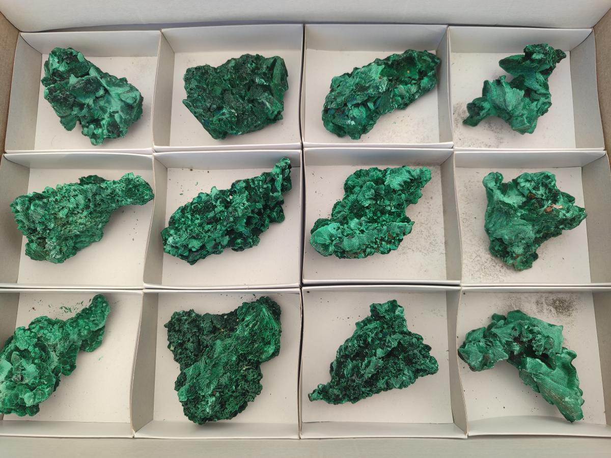 Natural Silky Malachite Specimens x 12 From Kasompe, Congo