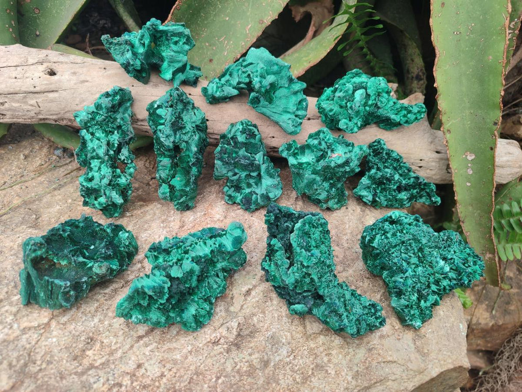 Natural Silky Malachite Specimens x 12 From Kasompe, Congo