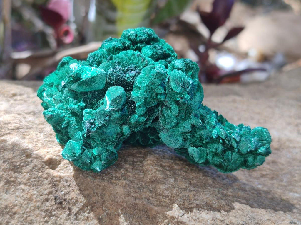 Natural Silky Malachite Specimens x 12 From Kasompe, Congo