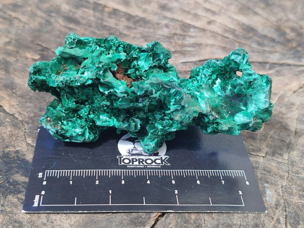Natural Silky Malachite Specimens x 12 From Kasompe, Congo