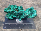 Natural Silky Malachite Specimens x 12 From Kasompe, Congo