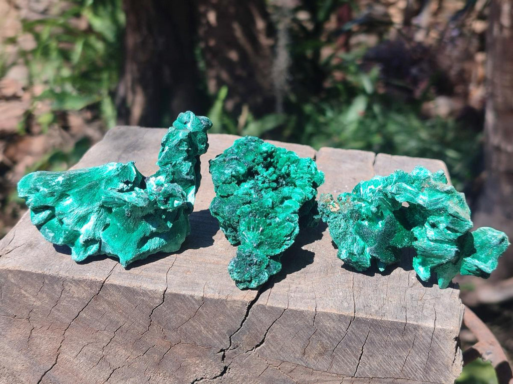 Natural Silky Malachite Specimens x 12 From Kasompe, Congo