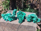 Natural Silky Malachite Specimens x 12 From Kasompe, Congo